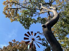 フランス山から山下公園へ下ります。
ここには風車があります。

*.位置情報がないので下のフランス橋に設定。
　ここから登ると急な階段だよー。