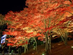 土津神社