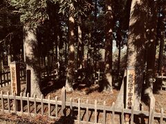 お手植え杉。
3本ずつで6本が囲ってありました。
昭和43年だからおよそ53年前。