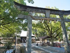 ⑥諫早神社

最後は諫早神社へ。