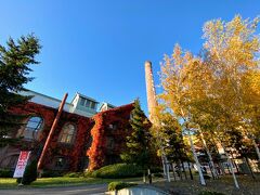 広々とした敷地に赤レンガの建物が点在しています。

博物館もあり、サッポロビールの歴史や製造過程を知ることができるそうです。
試飲もできるとか。