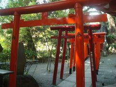 来宮神社入ってすぐ左側にある稲荷社の鳥居。来宮神社で一番好きな場所です。