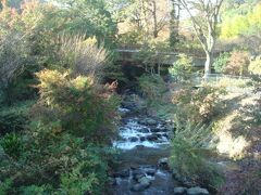 熱海梅園内は、川とか橋とか、良い写真が撮れるスポットが多いです。
晴れた日でしたが11月中旬の屋外に1時間以上いると、体が冷えてきました。