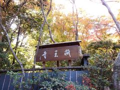 タクシーを利用して、祇王寺へ着きました。