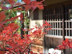 日本庭園の八窓庵。

400年余り前に茶人・小堀遠州が建て
札幌に移築された茶室、って

どちらかというと
アフタヌーンティー派なので、
小堀遠州さんがわかりません m(__)m