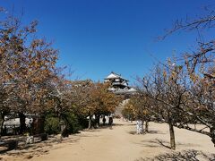 登ってきました
松山城は桜の名所で、今は時季外れですが、天気も良く気持ちいいです
