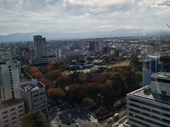 　富山城！

お天気良すぎて、どうしても逆光になってしまう。
そして、暑い。眩しい。
（11月なのに）
