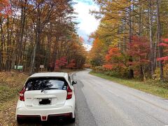 大町アルプスラインの日向山高原の道沿いの紅葉が最高でした①