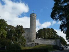 トゥームペアの丘にあるトゥームペア城の塔で高さが50メートル。
城壁の4隅の内の３箇所に似たような塔が３本建っておりその内の１本で、タリンのシンボル的存在。