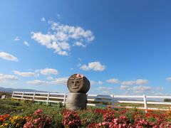 新栄の丘です。広い駐車場があるのですが、もうほとんど車は停まっていません。花も終わりかけたベゴニアの畑を守っているのは女の子のロール人形です。