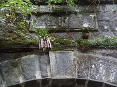 旧天城トンネルの名で有名なこのトンネル‥
正式名称は「天城山隧道」と言い、銘板にも記されております。