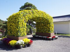 霞ケ城公園、菊人形ではなく、菊花展を開催中
