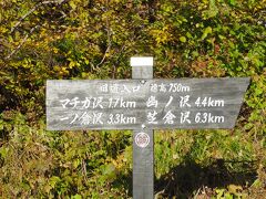 旧道で一ノ倉沢まで3.3km