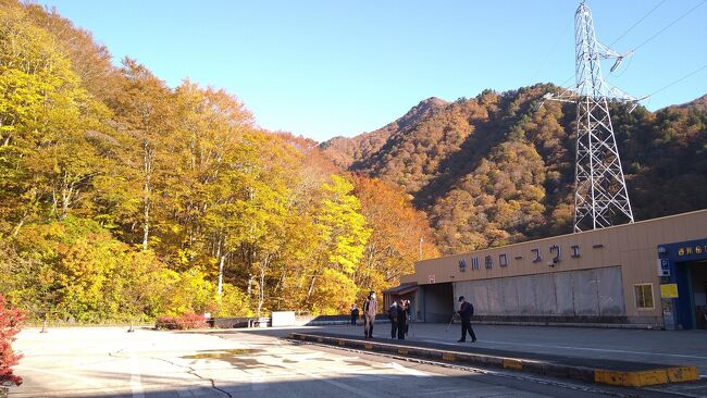 今年の紅葉狩は群馬から 1 谷川岳一ノ倉沢の輝く秋 谷川温泉 湯桧曽温泉 群馬県 の旅行記 ブログ By クッシーさん フォートラベル