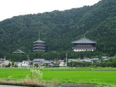 清大寺では、大仏殿と五重塔を外から眺め、勝山城博物館(天守閣風建築)に移動。