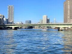 「佃大橋」の写真。

奥に「中央大橋」があります。