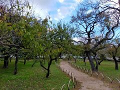 弘道館公園内には約60品種800本の梅が植えられています。

水戸はやっぱり春に来るのがいいのかなあ～