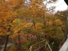 そして水上駅手前で諏訪峡脇を通過。いやいや良い色しますね～。こりゃ紅葉にも期待大。