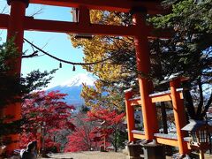 次は新倉山浅間公園です