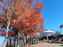 真っ赤な紅葉、展望台