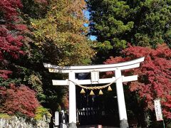 チェックアウトし、最初に宝登山神社に行きました