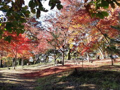 次は月の石もみじ公園へ