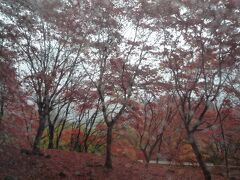 日塩もみじラインの紅葉名所ですが雨が降っていてよく撮れませんでした。
肉眼では綺麗にみえました。（バス車内からの写真）