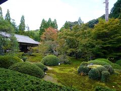 （五番）雲龍院・大黒天
財宝を持って走る「走り大黒天」が有名なお寺です。財宝の入った袋を持った大黒天様が参拝者のすぐそばまで走ってきて、今まさに財運を授けてくれようとしているくらいの迫力のある大黒天様です。
走り大黒天様の前には、「一歩ふみだす大黒さまは開運成就の福の神」とあります。走り大黒天様のことを見事に表現した簡潔簡明な言葉です。

大黒天おみくじを引くと、なんと「大吉」。かなり気分が高揚する一方、置いていあるおみくじ全部が大吉なんじゃないかと思いました。が、入口でおみくじを見ながらなにやら話をしている男女の雰囲気からしておみくじ全部が大吉というわけではなさそうです。

おみくじに書かれていたお歌は、とてもストレートに財運を歌ったもので、こんなにストレートな財運の歌は見たことがありません。とっても縁起がいいのと珍しいのでここで引用させていただきます。

〇いそしみし　しるしはみえて　ゆたかにも　黄金なみよる　小山田のさと

色紙にスタンプを頂いた際「大黒天数え歌」をいただきました。数え歌の中で「握った宝袋を大切に」が特に心に残りました。転職するにせよ、独立するにせよ、今の稼ぎ口を確保して、行動を起こすことが大事だということを教えてくださっているように思います。

写真撮影が制限されているため、大黒天様の写真がないのが残念です。写真は雲龍院境内中庭です。木から発せられるエネルギーを感じます。

雲龍院は西国薬師霊場第四十番札所でもあります。