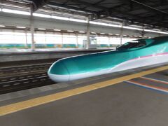 一ノ関駅から東京駅まで、東北新幹線に乗車しました。