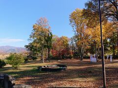 川中島古戦場跡公園のベンチで、紅葉を見ながら、先ほどのAコープファーマーズで買ったパンや惣菜のランチをいただきます。