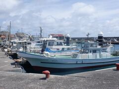 　カツオやマグロの水揚げ量で佐良浜漁港が活気づいているそうです。水揚げ量が伸び、１日当たり約３トンの水揚げが続いているそうです。温暖化の影響のためなのか水揚げのピークが早くなっているようです。