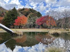 駐車場は無料の町営駐車場に停めたので、公園を通って戻ります。