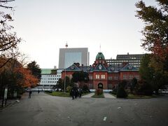 ホテルに帰る途中、北海道庁の紅葉見学。