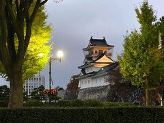 富山城址公園

おぉ～あれは再現された天守閣ですね。