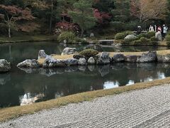 曹源池もゆっくりと拝見出来ました