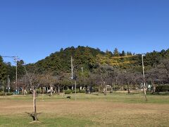 自宅から約40分で飯能市中央公園の駐車場に着きました。
雲一つない快晴で空が青いです。
正面の山がこれから登る天覧山です。