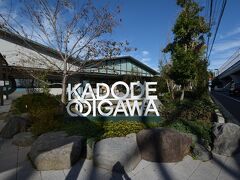 新東名・島田金谷インターを降りたすぐのところにある「KADODE OOIGAWA」に立ち寄りました。昨年オープンした静岡の名産”お茶”をメインにした複合施設です。