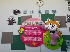 小さな動物園ですがレッサーパンダに関しては日本有数です。施設の良さ、見やすさは私の中では一番です。