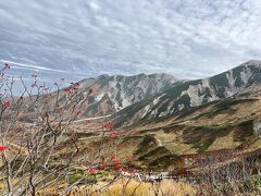 雄大な山