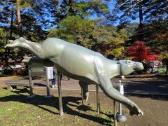 月曜日なので埼玉県立自然の博物館はお休み。
パレオパラドキシアは博物館の代表的な展示らしい。
おばあちゃんが、あんたカバみたいだねって言いながらずーっと撫でていた。