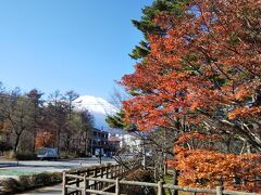 紅葉は、やや遅かった感じです。