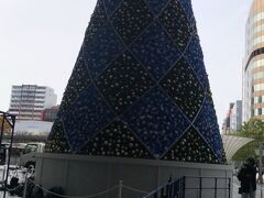 恒例の博多駅前広場のクリスマスツリーとイルミネーション