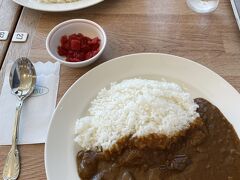 きっといつもの私たちなら、空港食堂とかで沖縄そば食べるところでしたが、今回はカレーの気分^^;

前日に博多うどん食べたからかも。。。

美味しかったです。