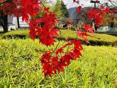 福島県博物館の紅葉