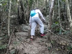 屋良部岳を目指す！
ここもインスタで有名になったようで、短パンサンダルの写真もよく見ます、

短時間で行けるといっても、サンダルでは無理でしょ～
長袖、長ズボン、スニーカー、手袋、リュックで登りました。