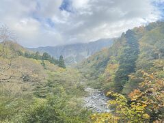 うわぁ、紅葉が綺麗です！
前回の大山旅行の時にこの場所の紅葉が綺麗だと聞いて、いつか見たいと思ってたんです(*^^*)
