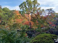 和歌山城公園内の様子です。紅葉が調度良い時期でした。