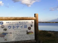 夕暮れのウトナイ湖は、さっきより寒いー
このときスマホを見たら、名古屋は19℃なのに苫小牧は8℃！

遠くに見える白い鳥が、ハクチョウかな。