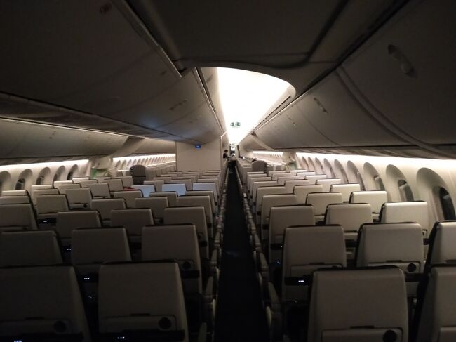 ほとんど空席です。<br /><br />ZIP AIRの機材はとても良かったのですが、気に入らないのはチケットの販売の仕方や種類です。HPはシンプル過ぎて逆に解りづらいし、チケットはエコノミークラスとフルフラットシートの２種類のみ。変更できるチケットなども無く、変更取消が一切できないチケット１種類のみ。しかもAIチャットは頭が悪く役立たづくんだし。<br />こういう所がZIP って消費者目線じゃないと思わせるのです。