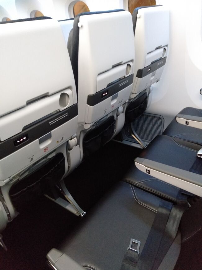どうでしょうか？<br />足元の広さの割に前席のシートバックがやたらと目の前に来てませんか？<br />圧迫感はLCCです。
